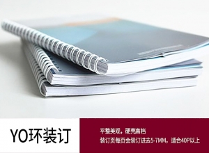 如何利用膠印技術(shù)的發(fā)展趨勢(shì)提升企業(yè)的競(jìng)爭(zhēng)力？